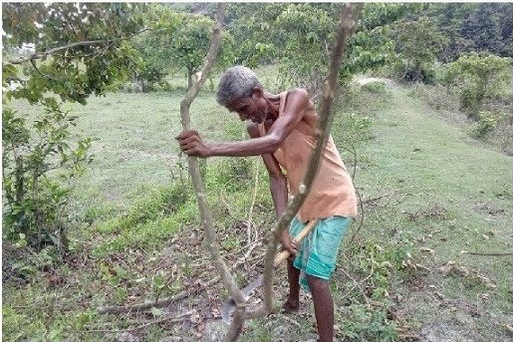 न सावन हरे न भादों सूखे