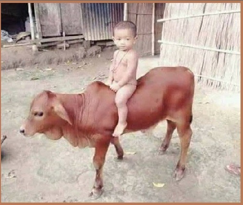 छोटा हूं पर समझ बड़ी है