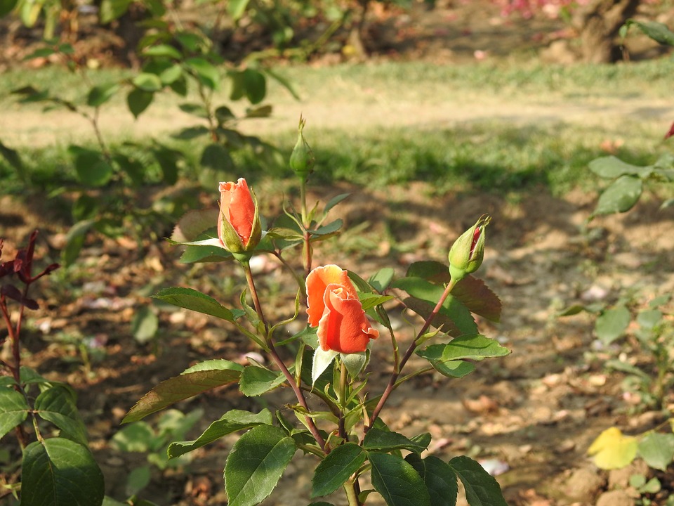 निर्माण हो या हो अवसान