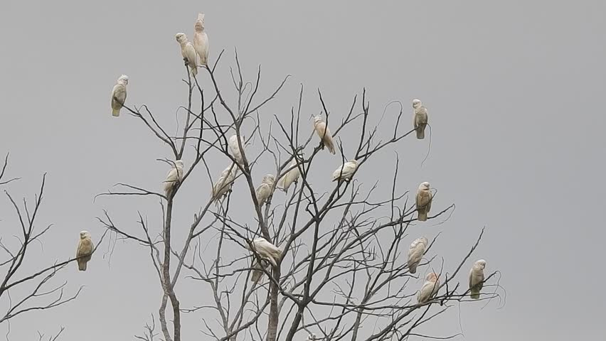 रिश्तों के तो माने हैं