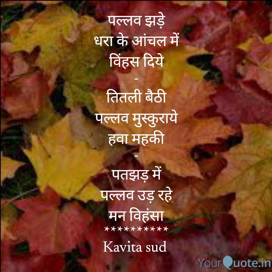 हाइकु  पल्लव