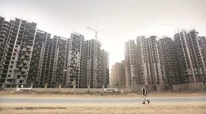 निर्माण के जंगल