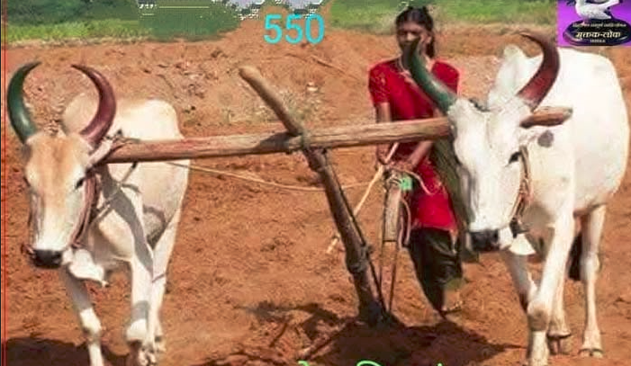 चल आज काम बदल लें