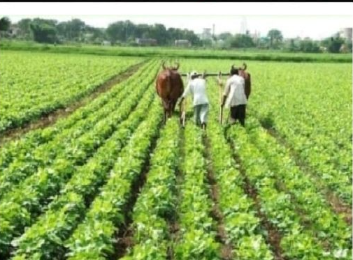 कैसा दुर्भाग्य है मेरा