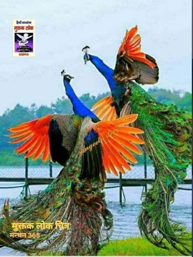 कण-कण नेह से भीगे