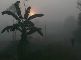 सर्दी  में सूरज